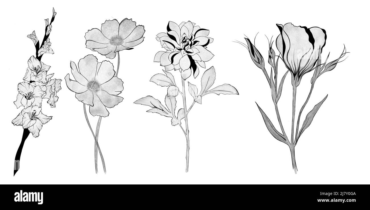 big set of flowers. Hand-drawn. design greeting card and invitation of the wedding, birthday, Valentine's Day, mother's day and other holiday Stock Photo