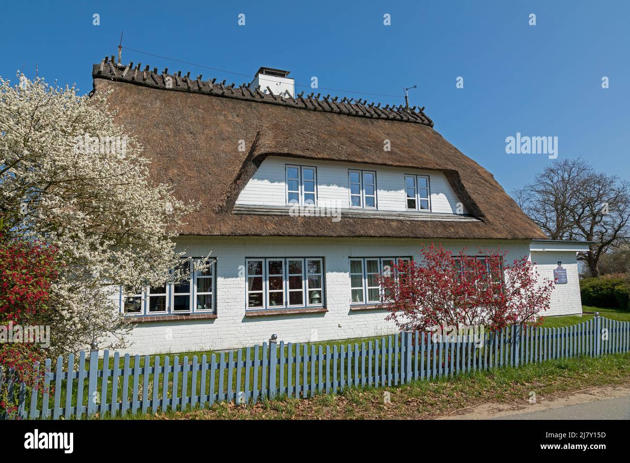 Thatched house, Falshöft, Gelting Bay, Schleswig-Holstein, Germany Stock Photo