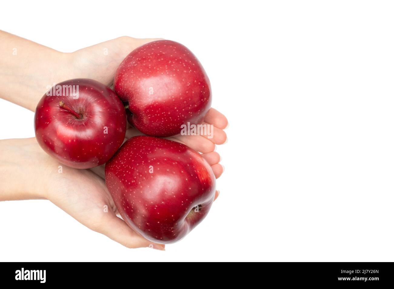A hand holding red ripe apples isolated on white background Stock Photo ...