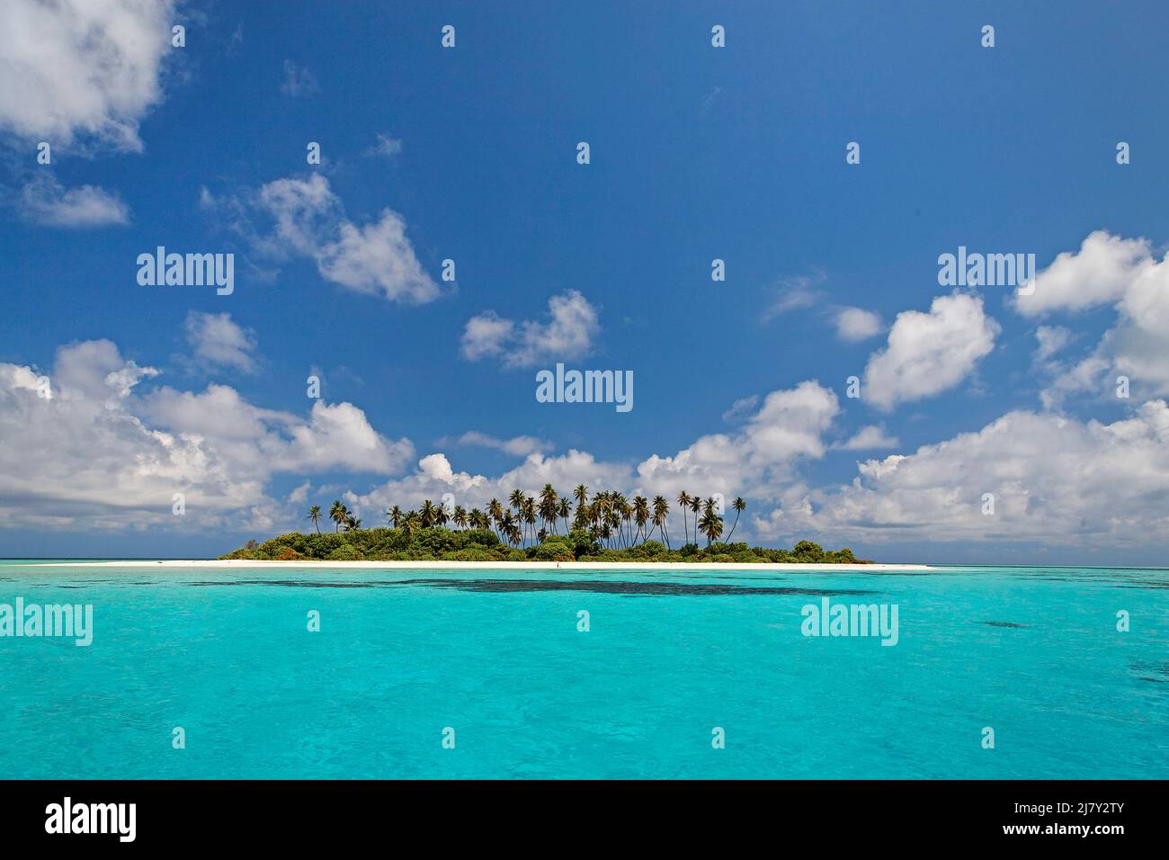 Uninhabited maldivian island with palm trees, beach and lagoon, Maldives, Indian ocean, Asia Stock Photo