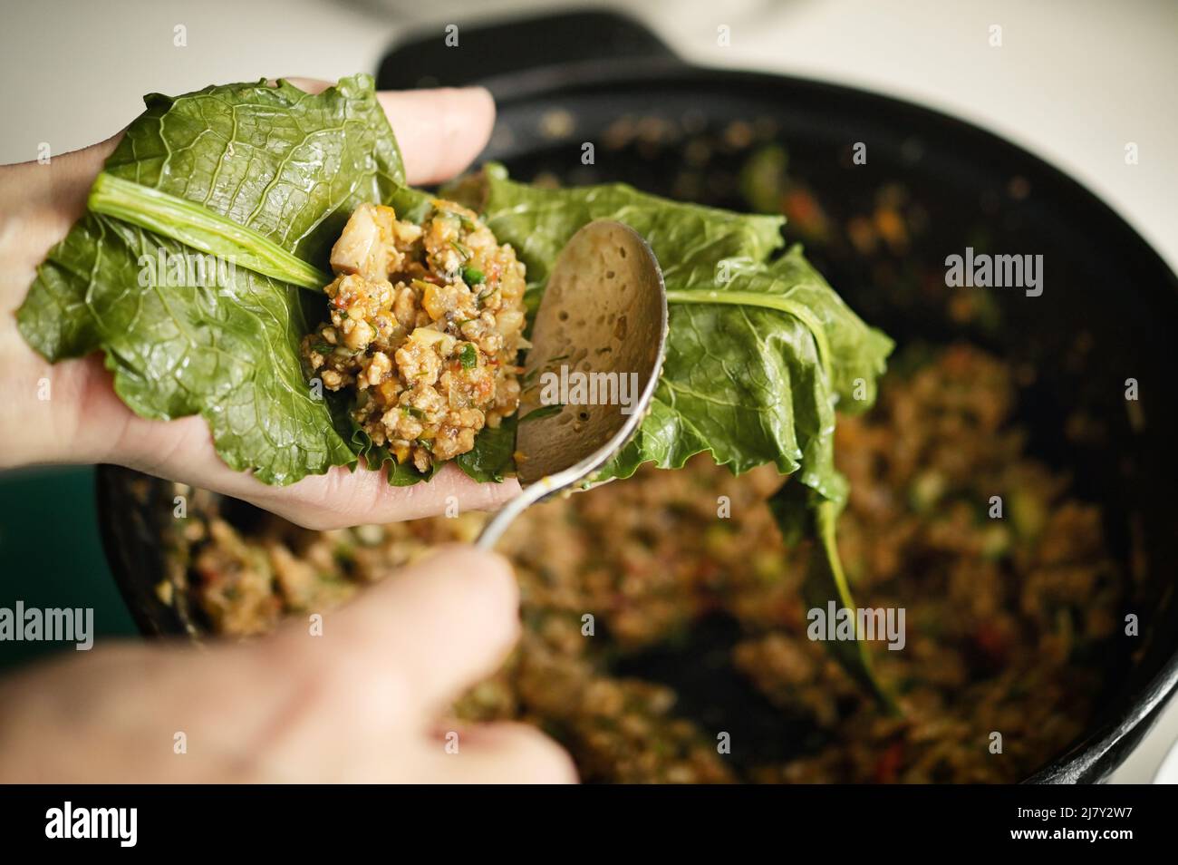 Closeup Stuffed Patience dock leaves with Beef, Rice And Vegetables Stock Photo