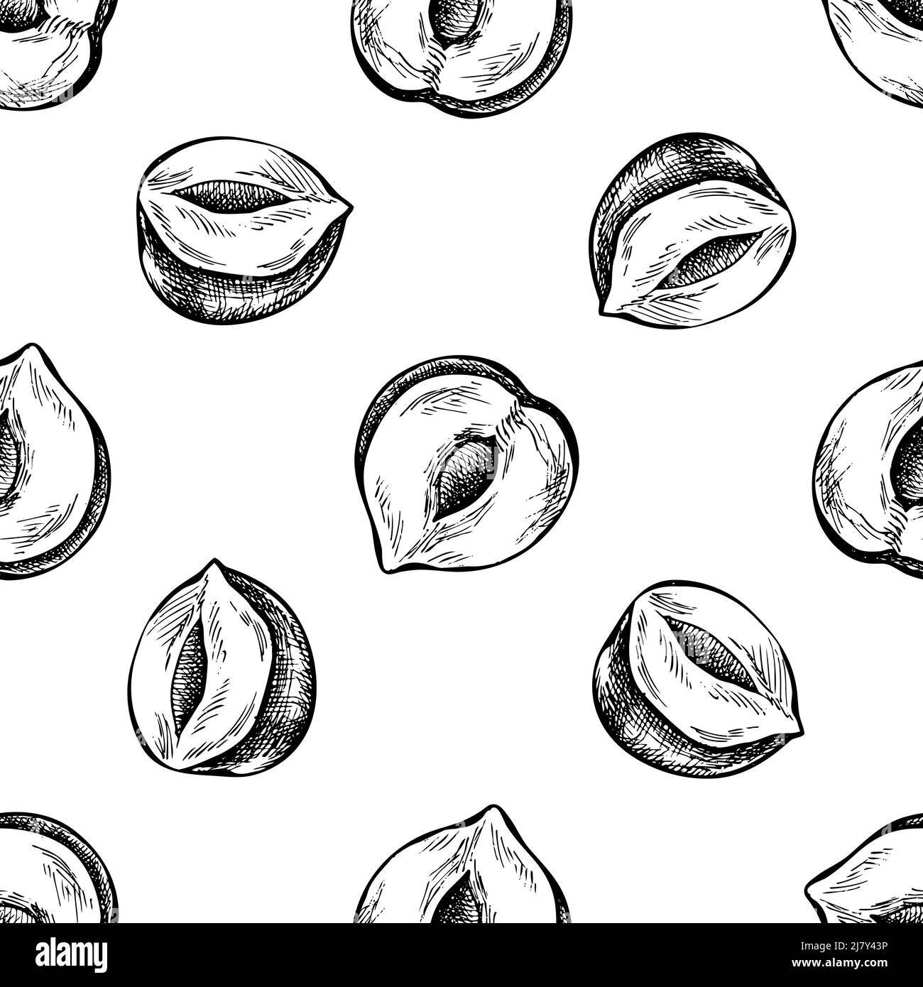 Seamless pattern with black and white hazelnut Stock Vector