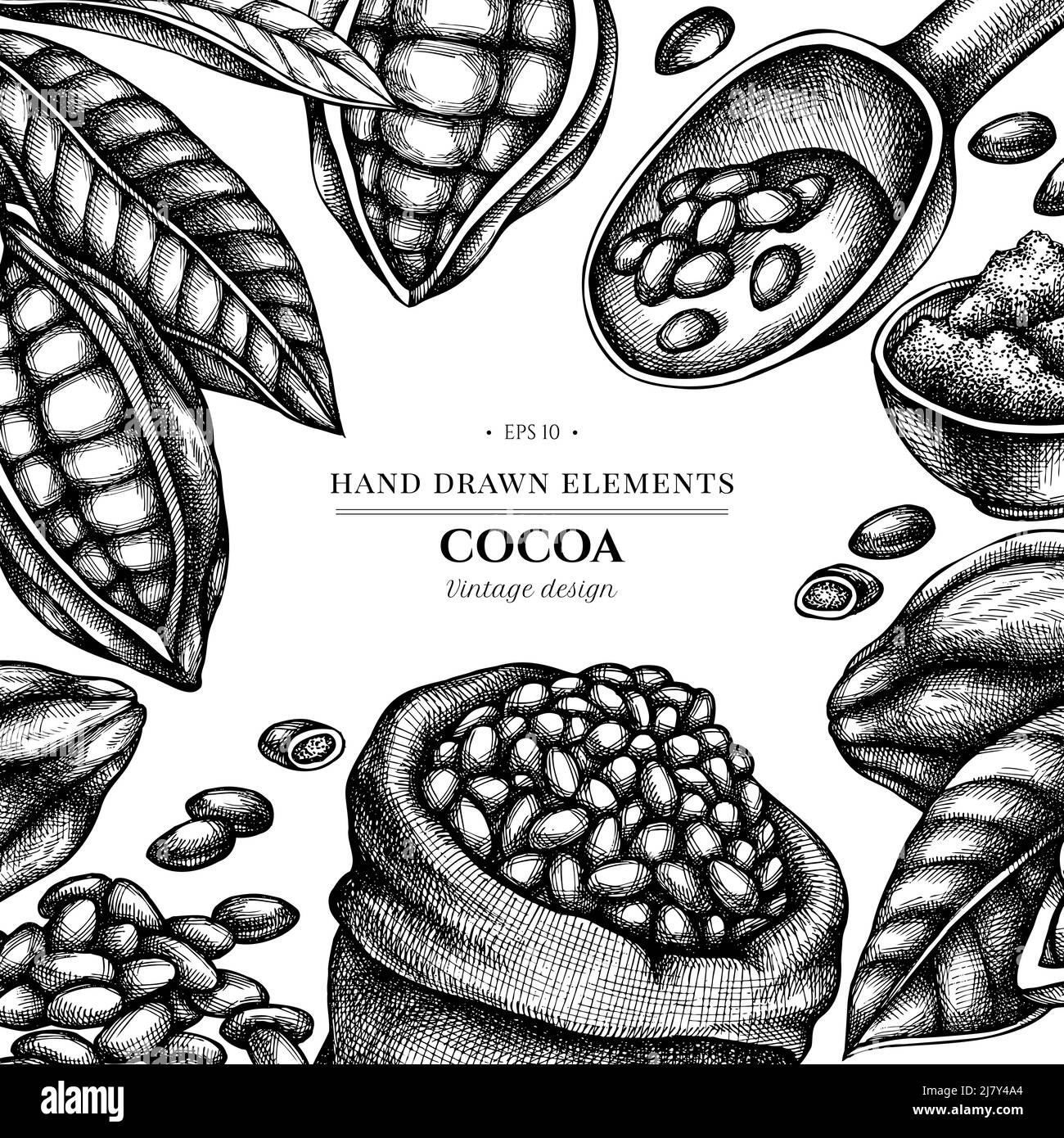 Design with black and white cocoa beans, cocoa Stock Vector Image & Art