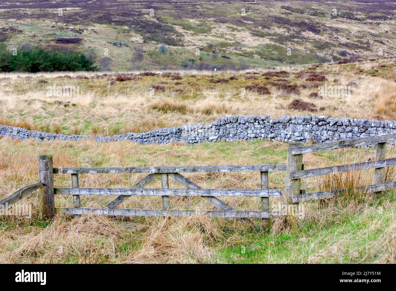 wooden gate on Langholm moor Scotland with stone wall and heathland in