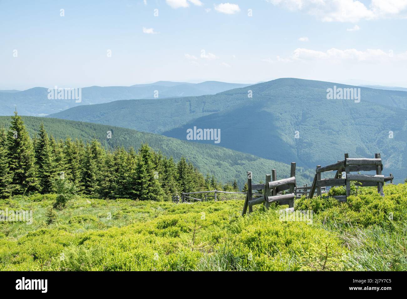 Green forest in beskids mountains hi-res stock photography and images ...