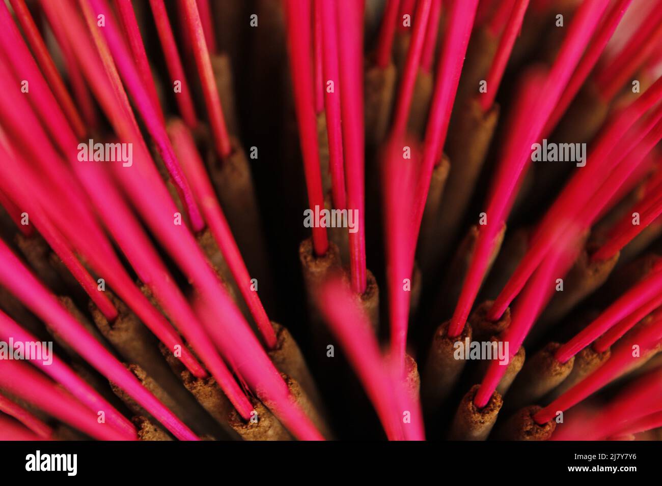 Insence india hi-res stock photography and images - Alamy