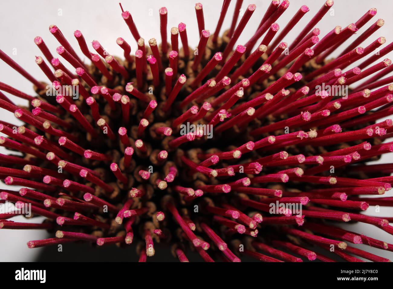 Vietnam insence sticks hi-res stock photography and images - Alamy