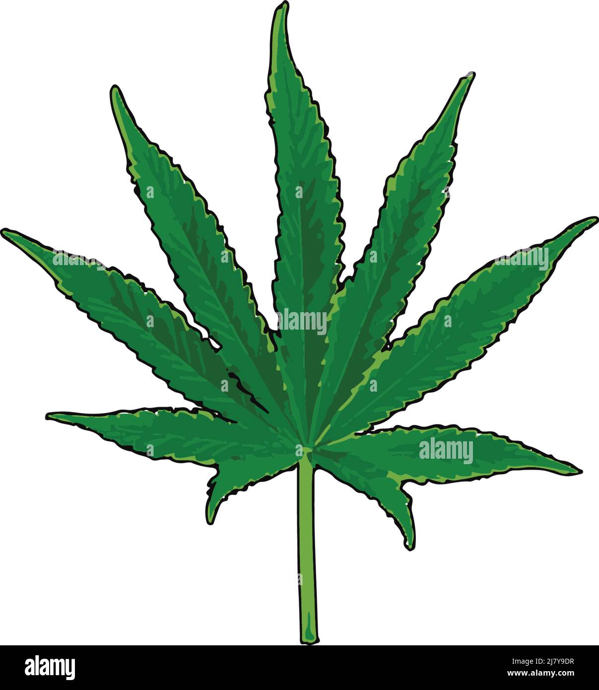 Marijuana leaf green color vector artwork Stock Vector
