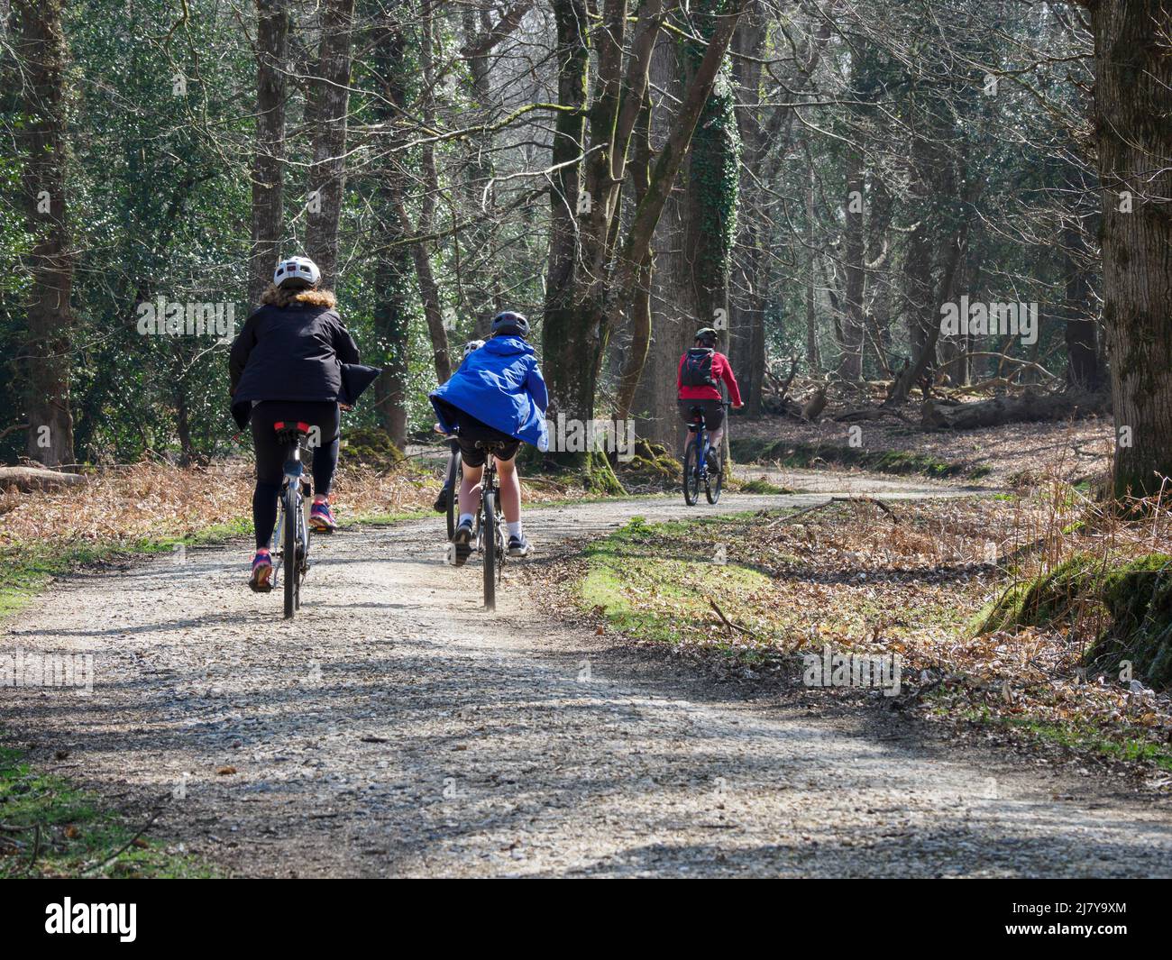 Family cycling in the New Forest, Hampshire, UK Stock Photo