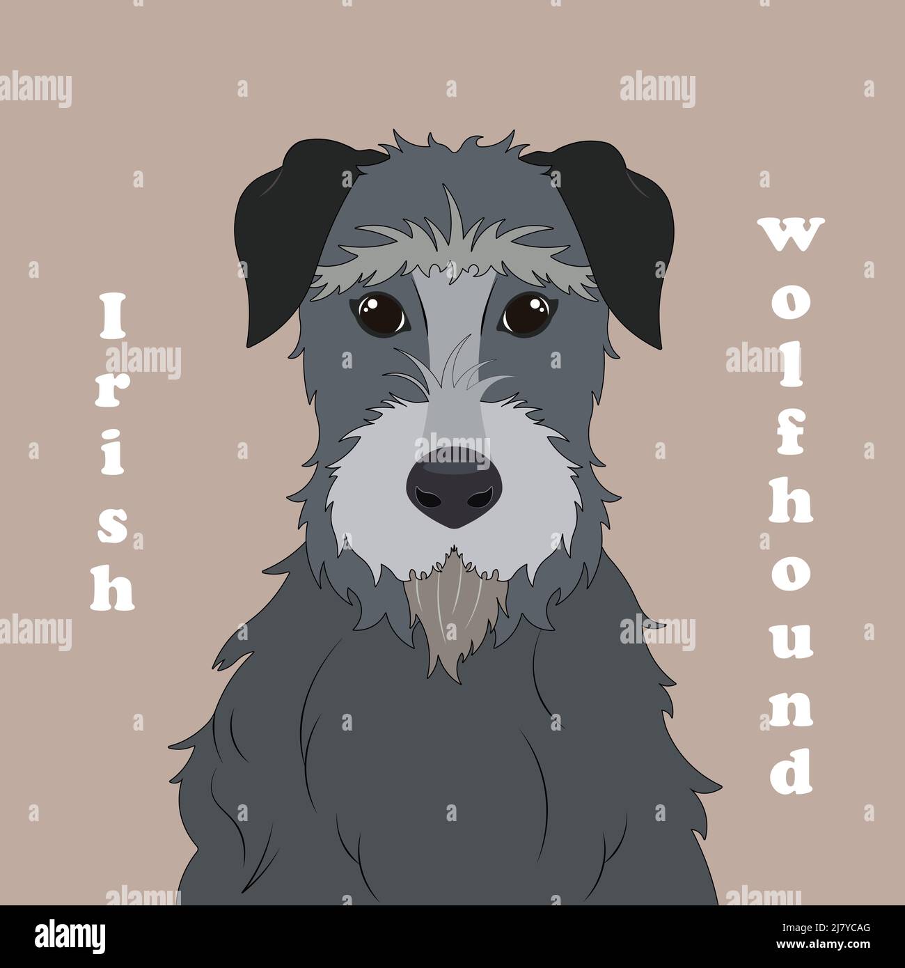 Irish wolfhound. Print with dog with background Stock Vector