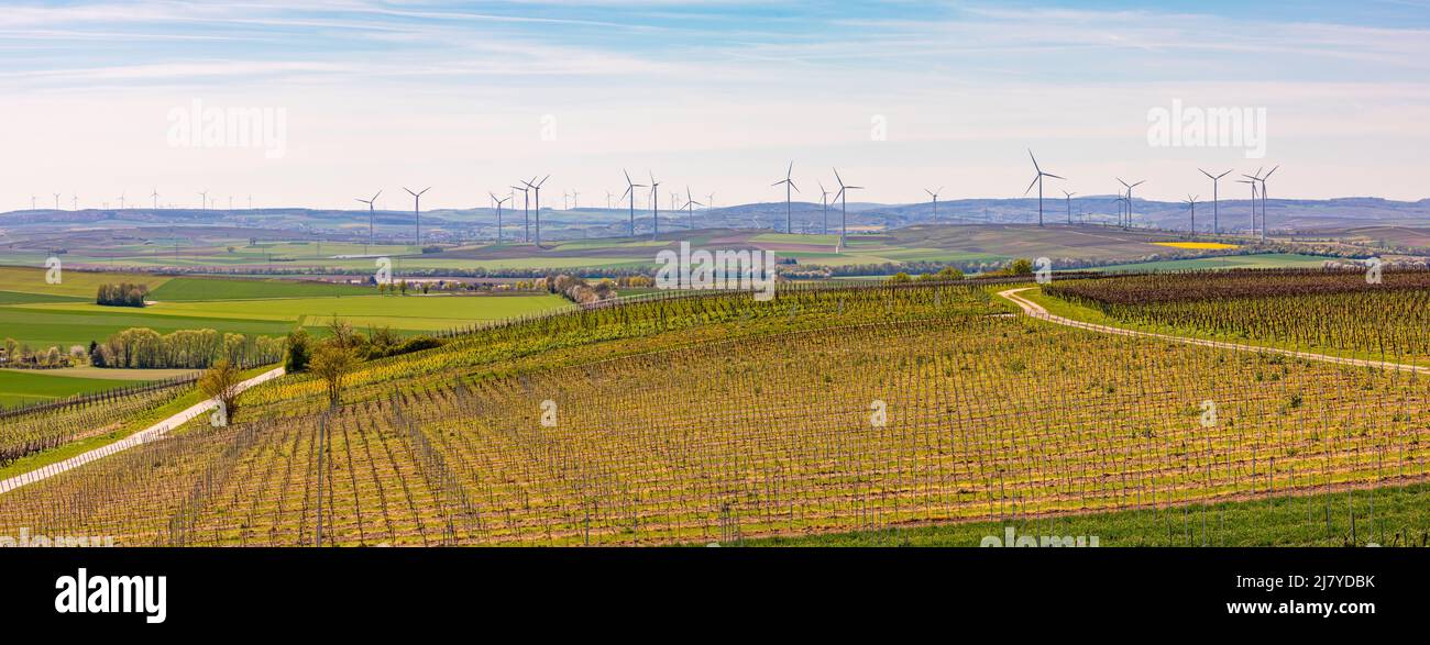 Panoramic image of fields and vineyards with many wind turbines to the horizon, Rhineland-Palatinate, Germany Stock Photo