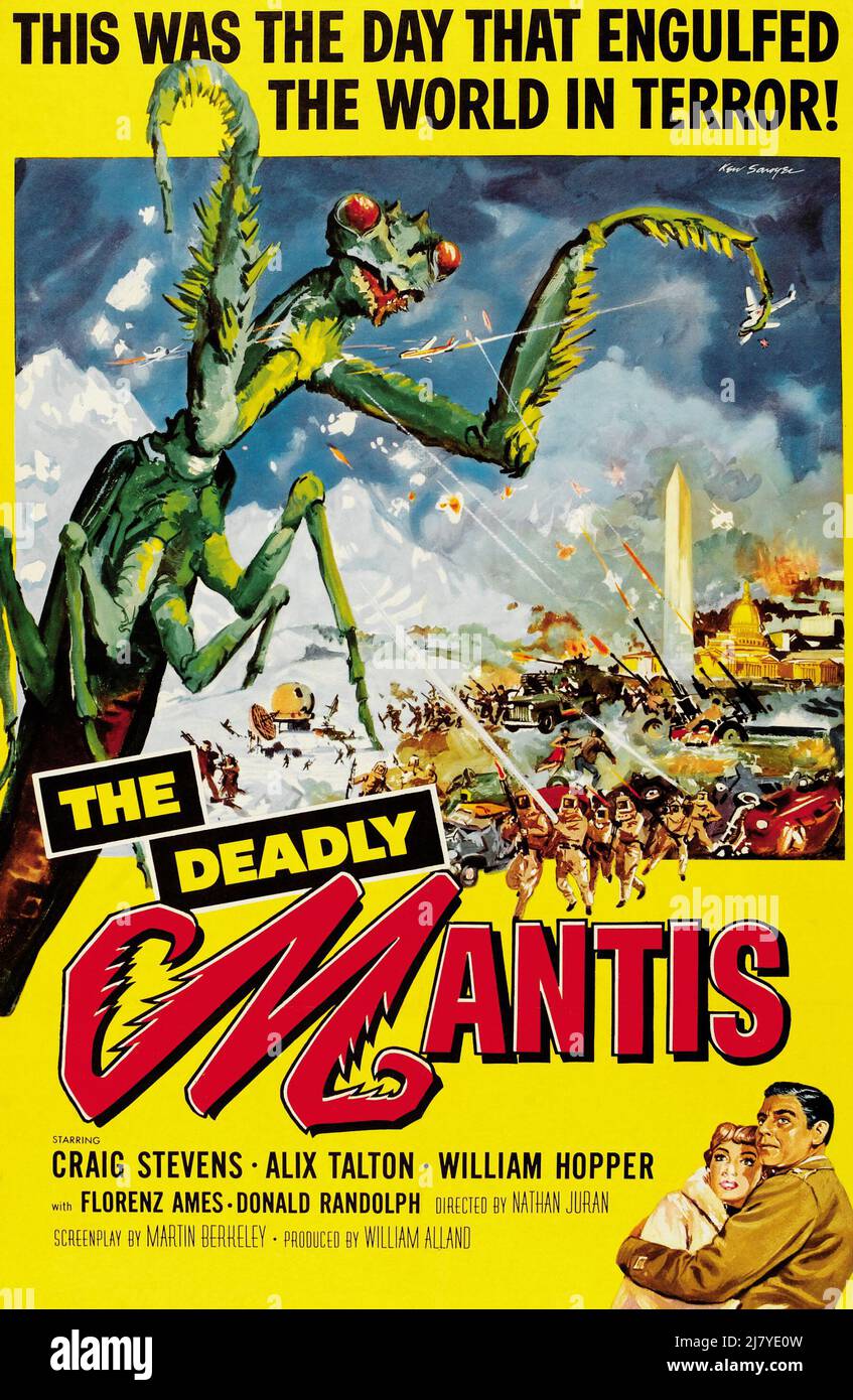 The Deadly Mantis Stock Photo