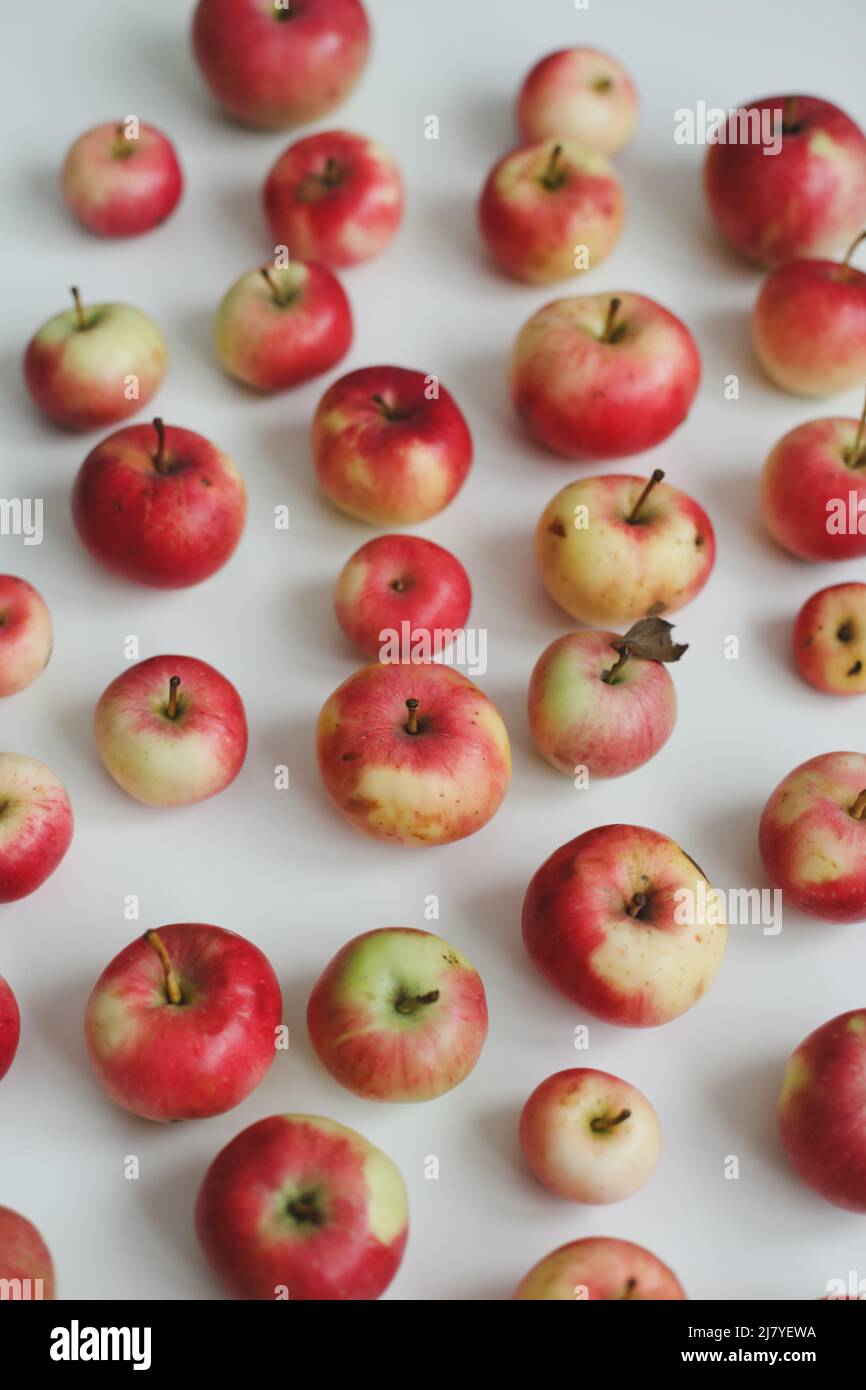 autumn pattern with fresh red apples isolated on white background top ...