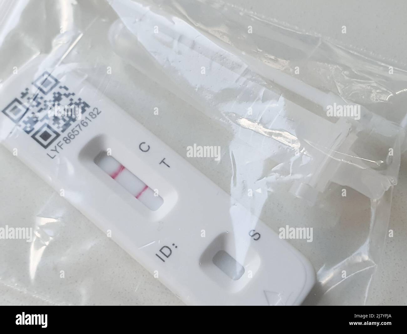 A lateral flow test positive for covid. The rapid antigen test is in a plastic bag with the swab and extraction buffer tube, ready for disposal. Stock Photo