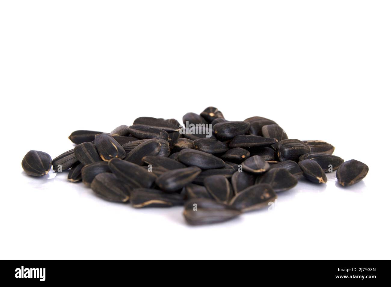 Sunflower seeds isolated on white background. Close up photo of black ...