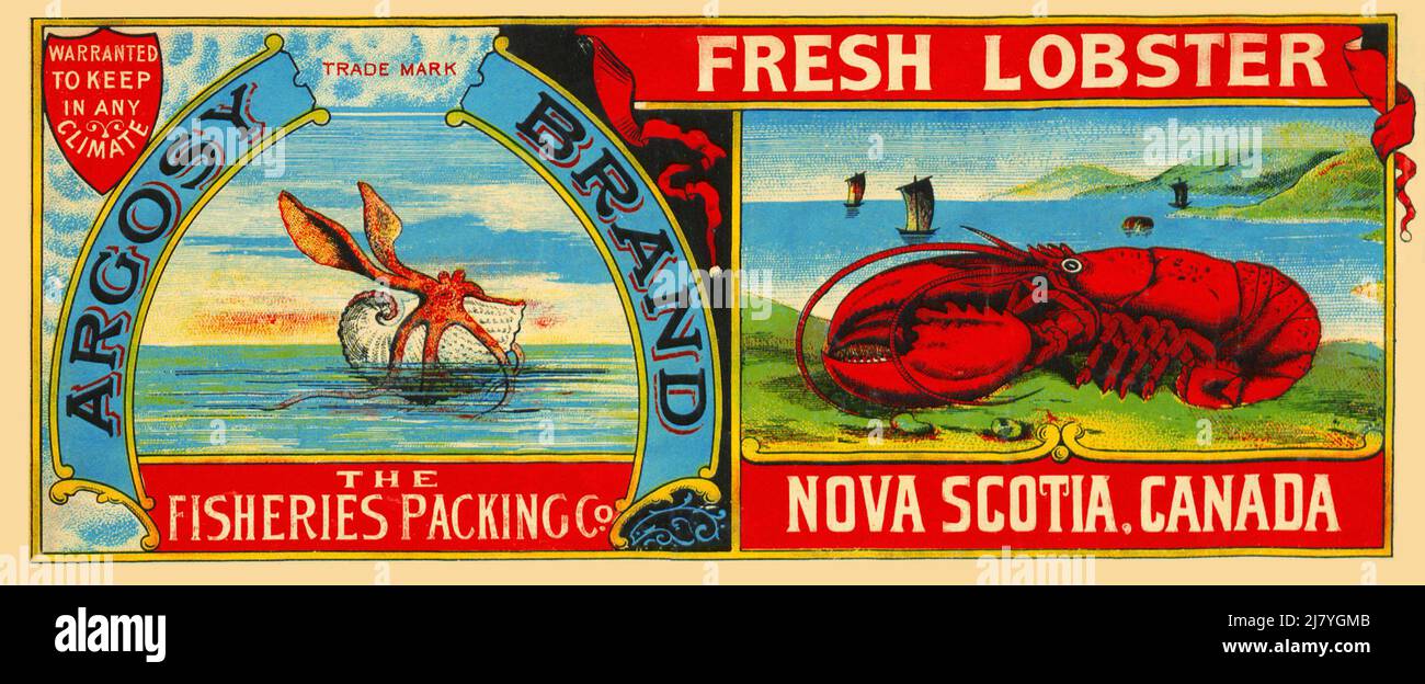 Argosy Brand Fresh Lobster Stock Photo