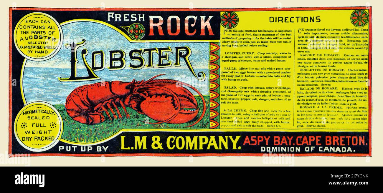 Fresh Rock Lobster Stock Photo Alamy