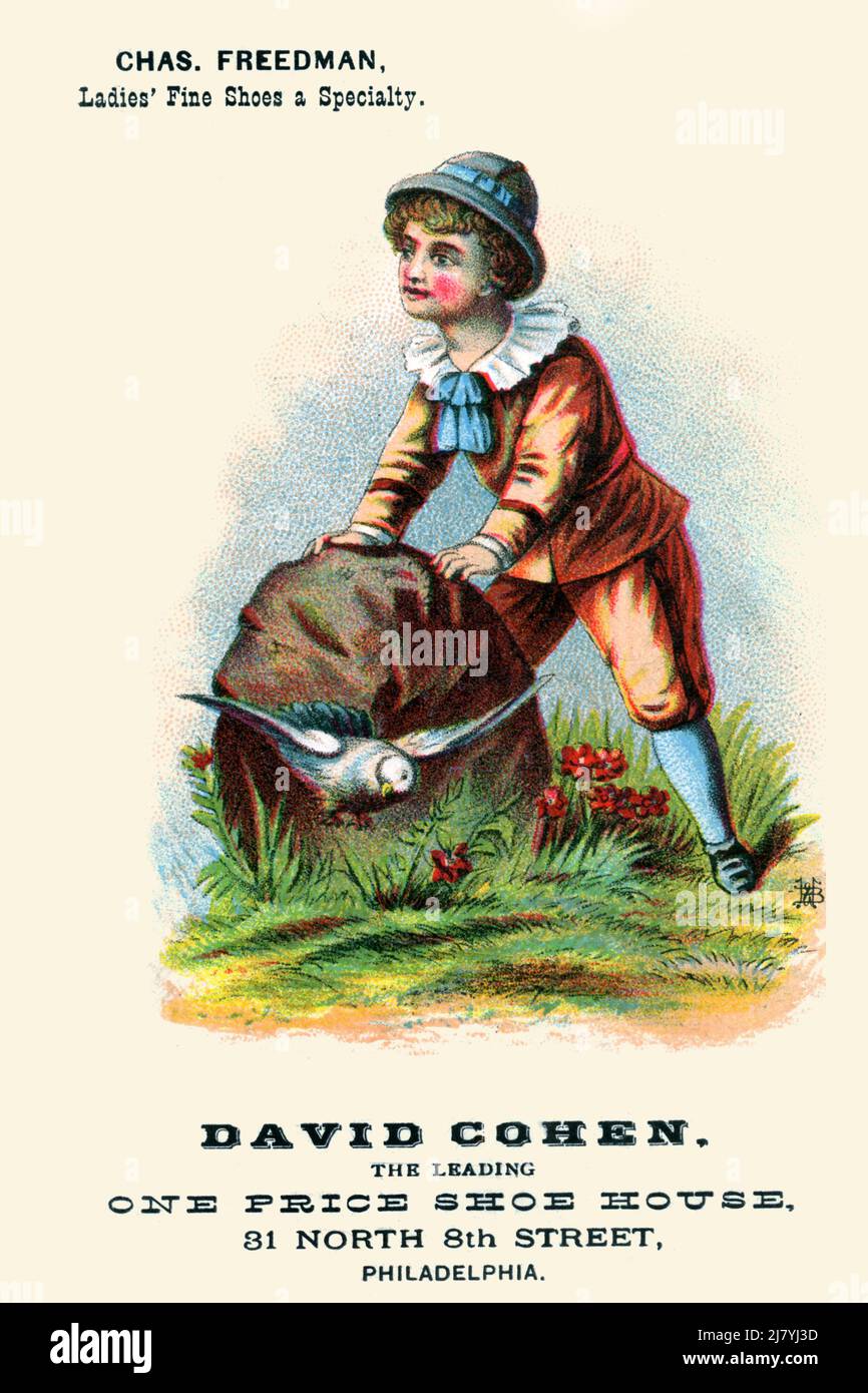 David Cohen - Boy and Bird Stock Photo