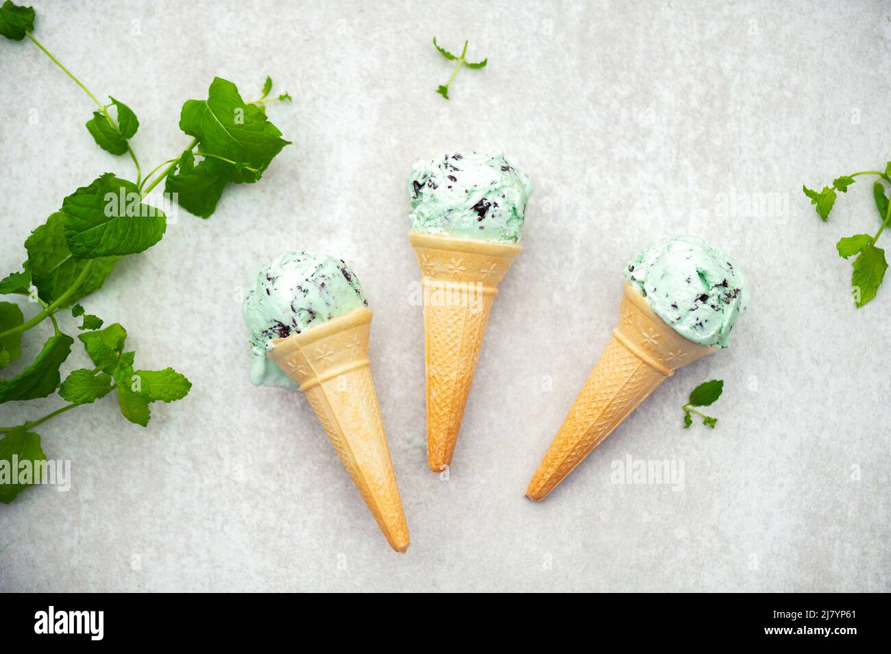 Mint Choc Chip Ice Cream Stock Photo Alamy