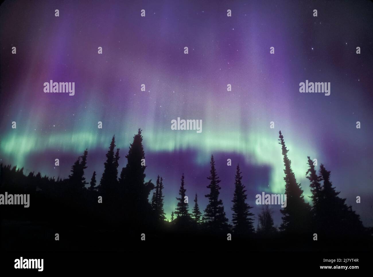 North America; United States; Alaska; Alaska Range Mountains; Winter; Night; Aurora Borealis; Northern Lights; Celestial; Sky; Natural Phenomena; Band Stock Photo