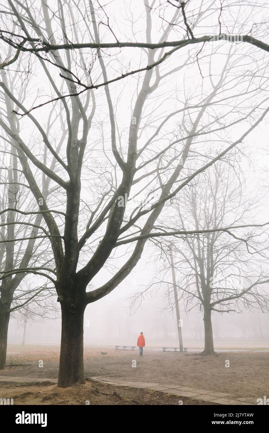 Man in road walking dark forest hi-res stock photography and images - Alamy
