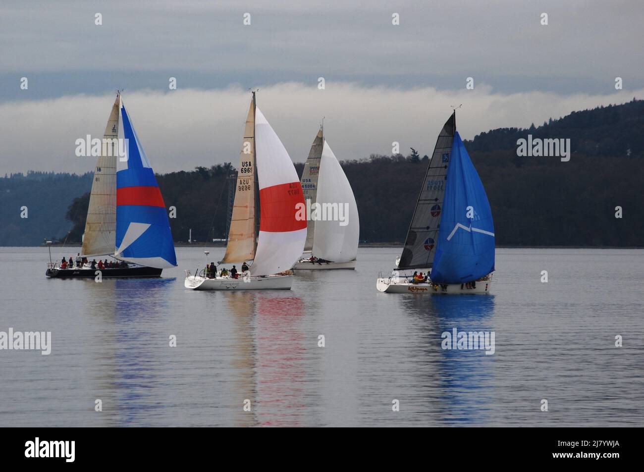 Regatta Sailing on Puget Sound in Washington State Stock Photo