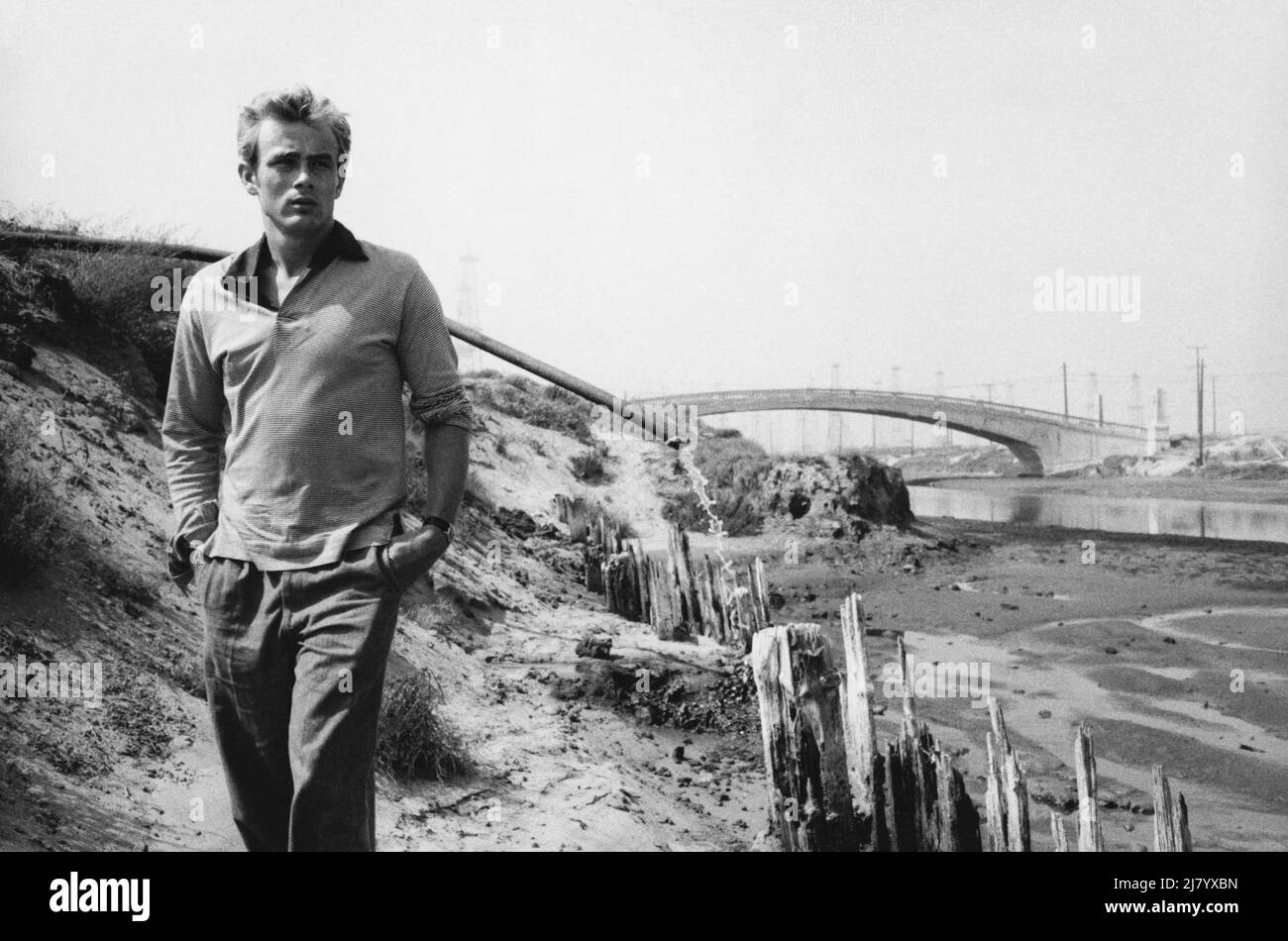 James Dean, 1955 Stock Photo