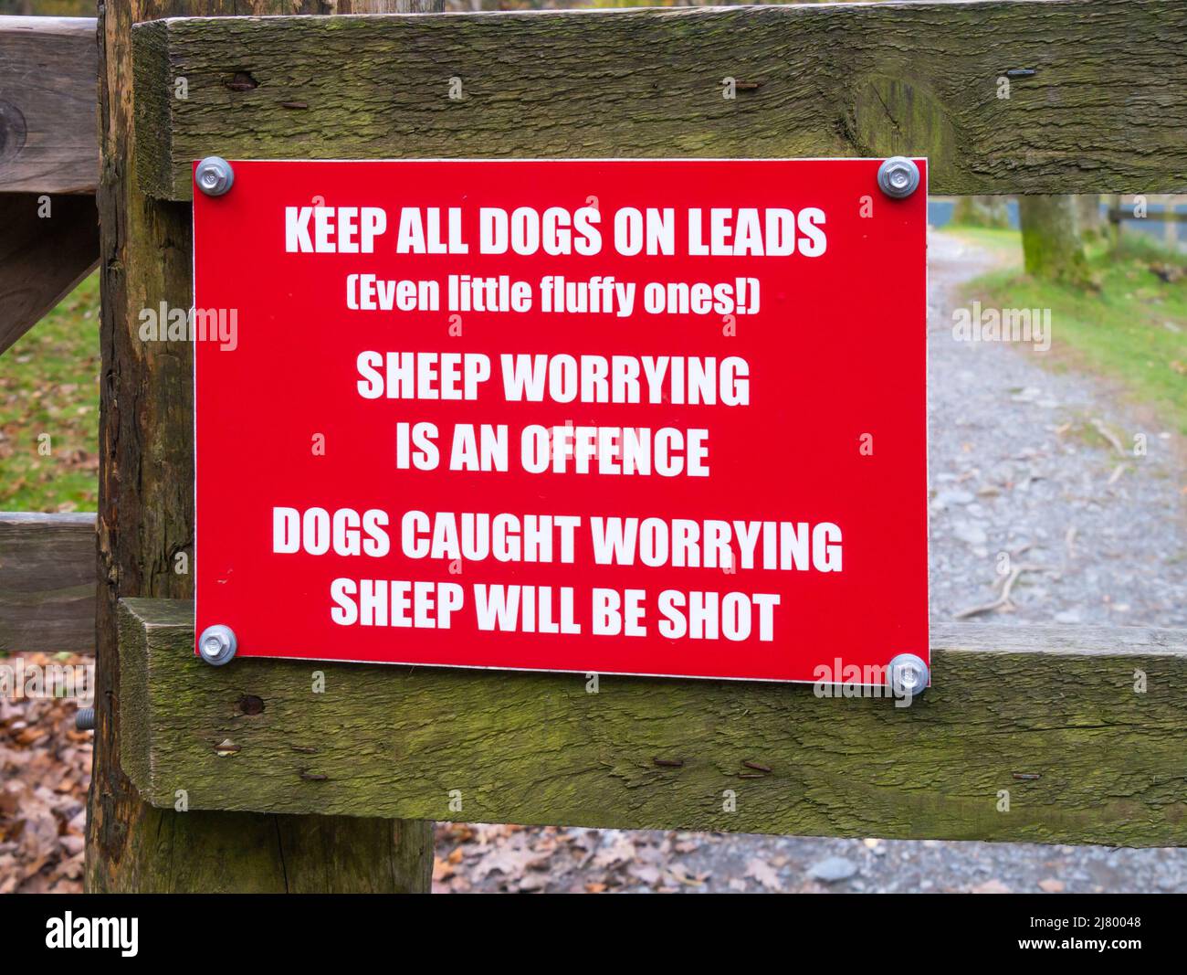 Keep dogs on lead sign. Stock Photo