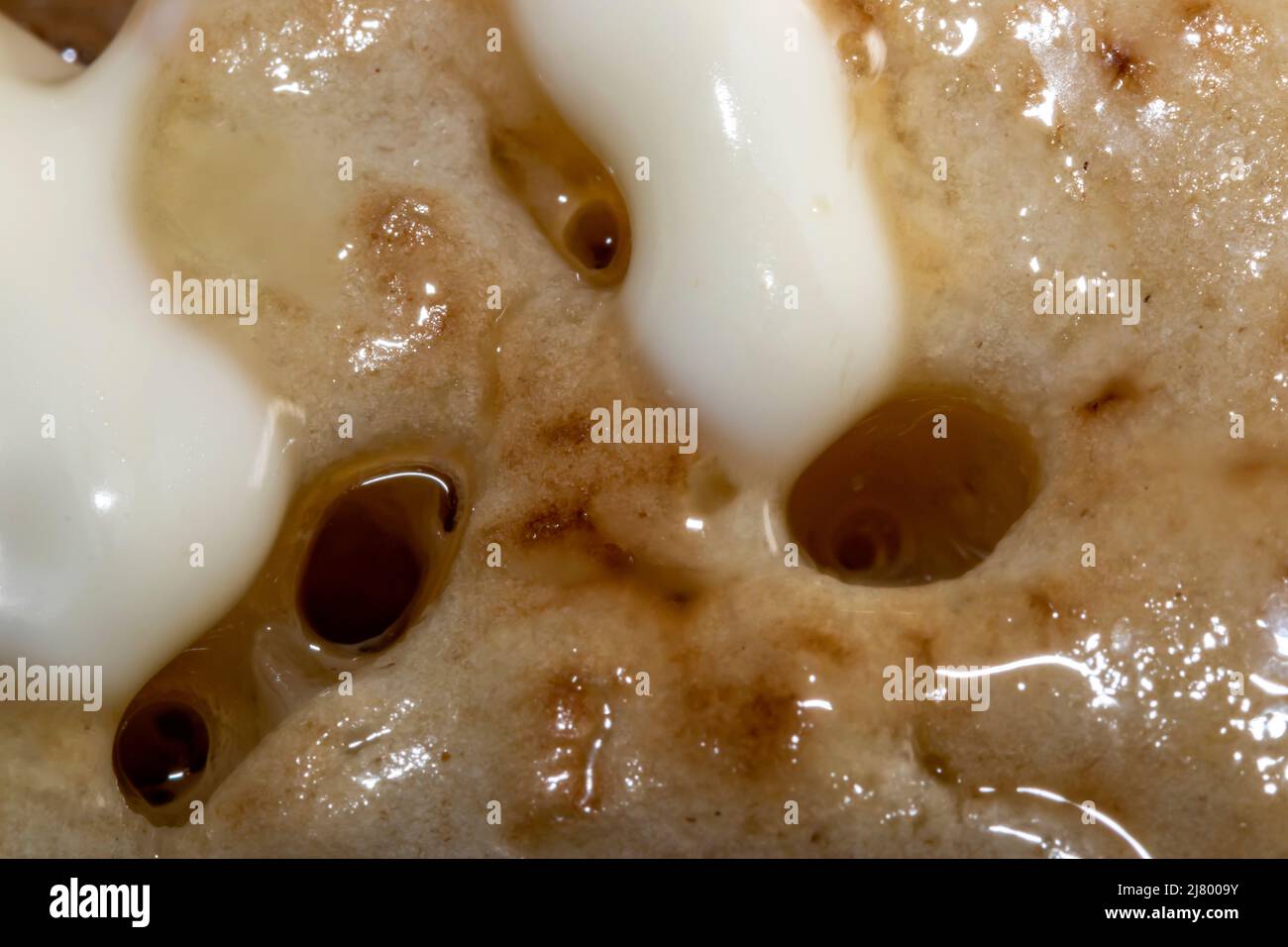 Macro of a Crumpet with Melting Butter Stock Photo