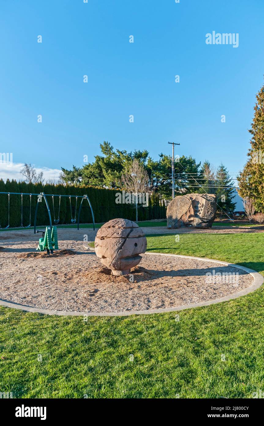 Climbing ball at the Orchard Park Disc Golf Course, Hillsboro, Oregon. Stock Photo