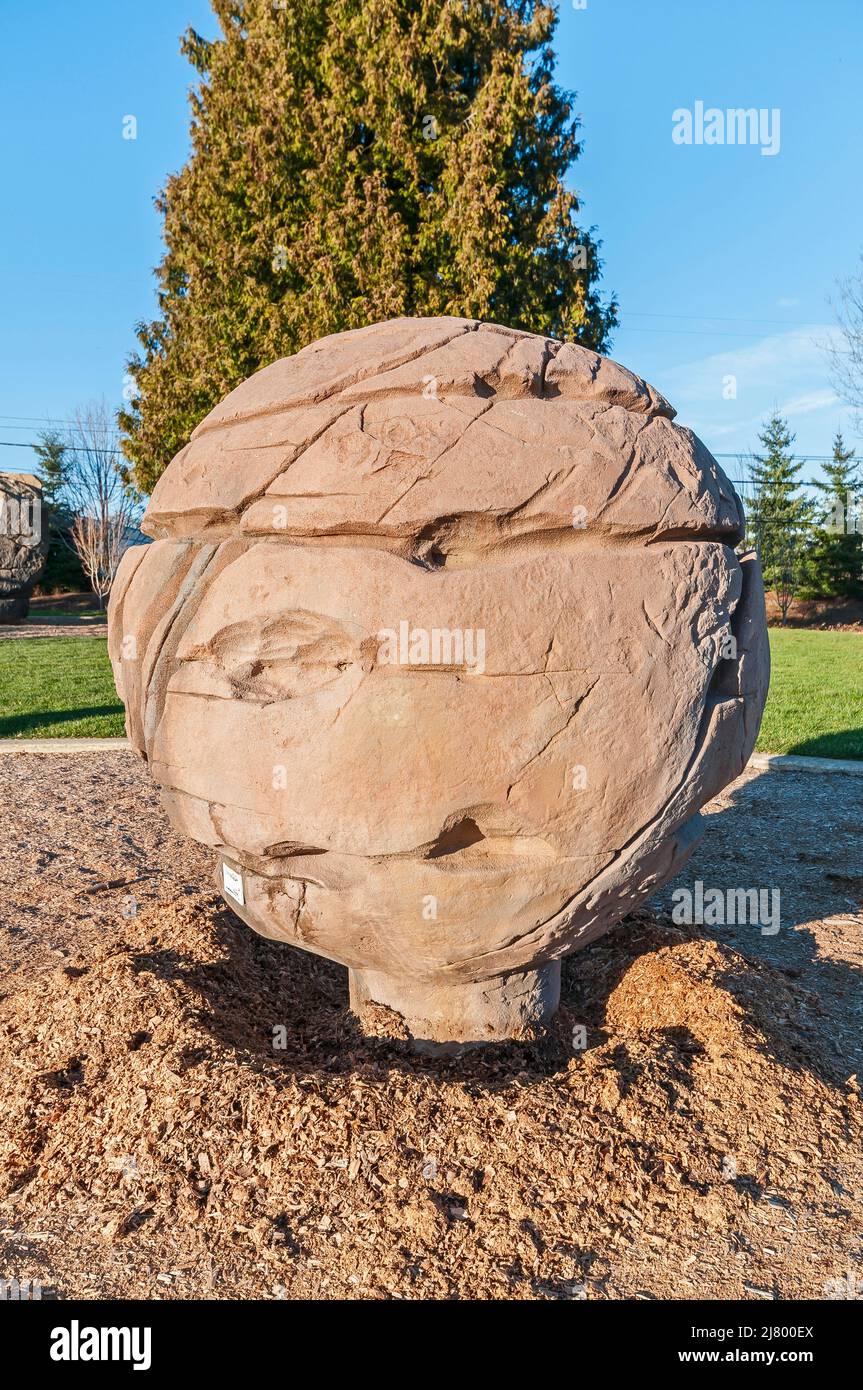 Climbing ball at the Orchard Park Disc Golf Course Hillsboro Oregon Climbing ball at the Orchard Park Disc Golf Course Hillsboro Oregon
