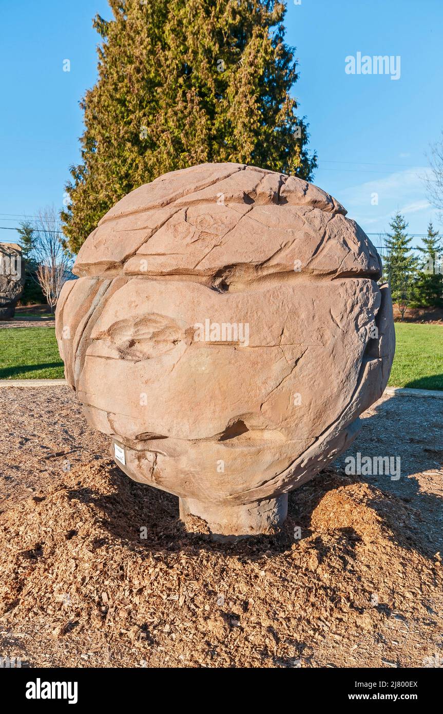 Climbing ball at the Orchard Park Disc Golf Course, Hillsboro, Oregon. Stock Photo