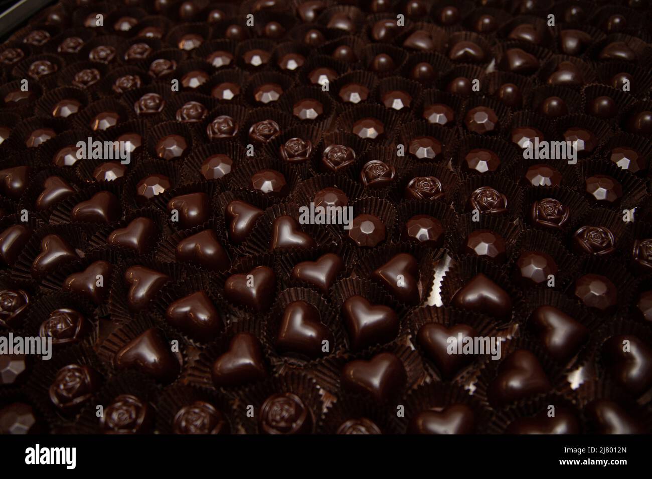 Lots of handmade chocolate candies with filling in a chocolate factory