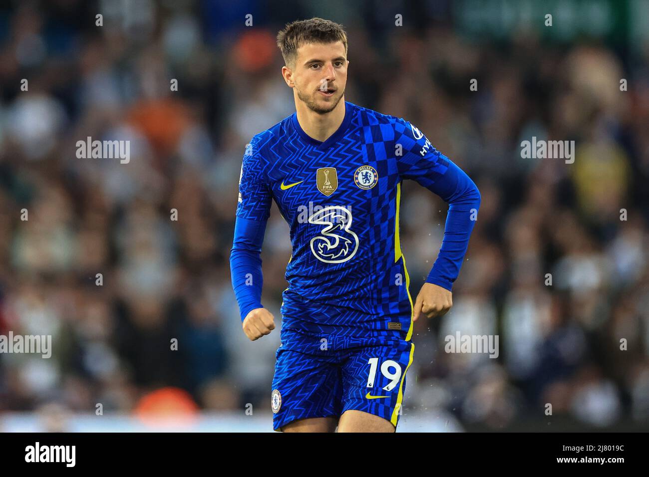 Mason mount hi-res stock photography and images - Alamy Mason mount hi-res stock photography and images - Alamy