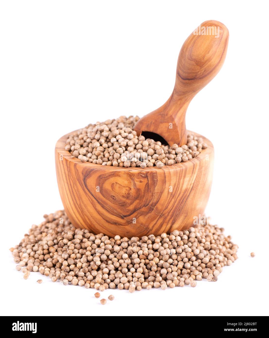 Coriander seeds in olive bowl and scoop, isolated on white background ...