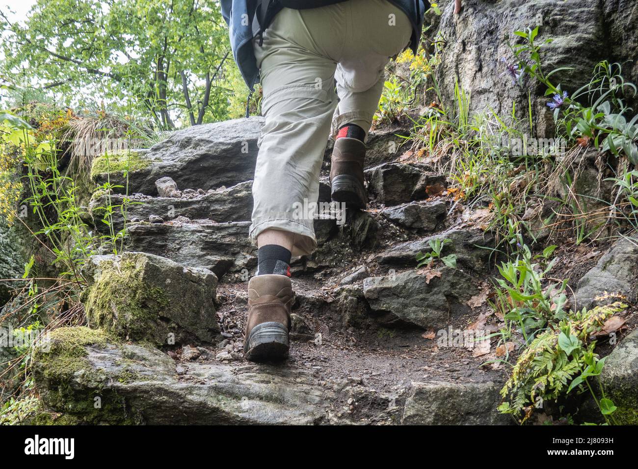 The varied route over the Vogelbergsteig to the historic Dürnstein castle ruins is one of the most beautiful hiking routes in the Wachau. Stock Photo