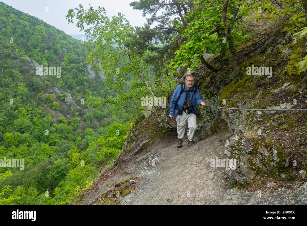 The varied route over the Vogelbergsteig to the historic Dürnstein castle ruins is one of the most beautiful hiking routes in the Wachau. Stock Photo