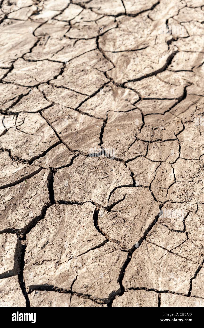 Deep cracks soil hi-res stock photography and images - Alamy
