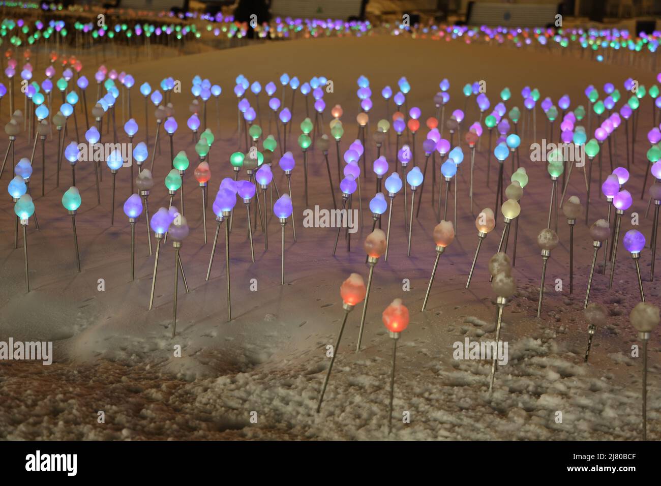 Field of colored lights on sticks in the snow, mimicking flowers Stock Photo