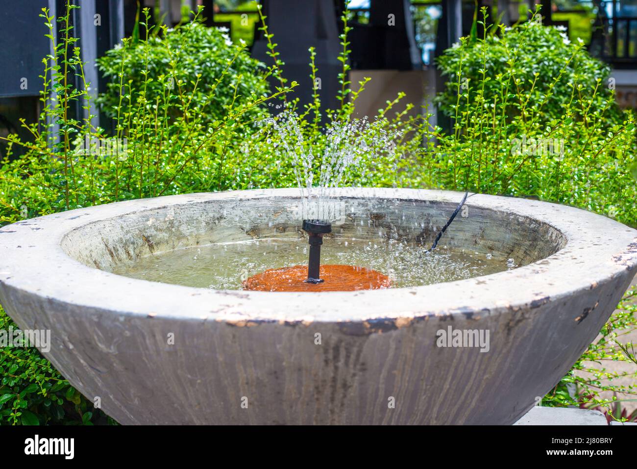 A small fountain in a concrete bowl in a tropical garden. Garden design and decor. Stock Photo