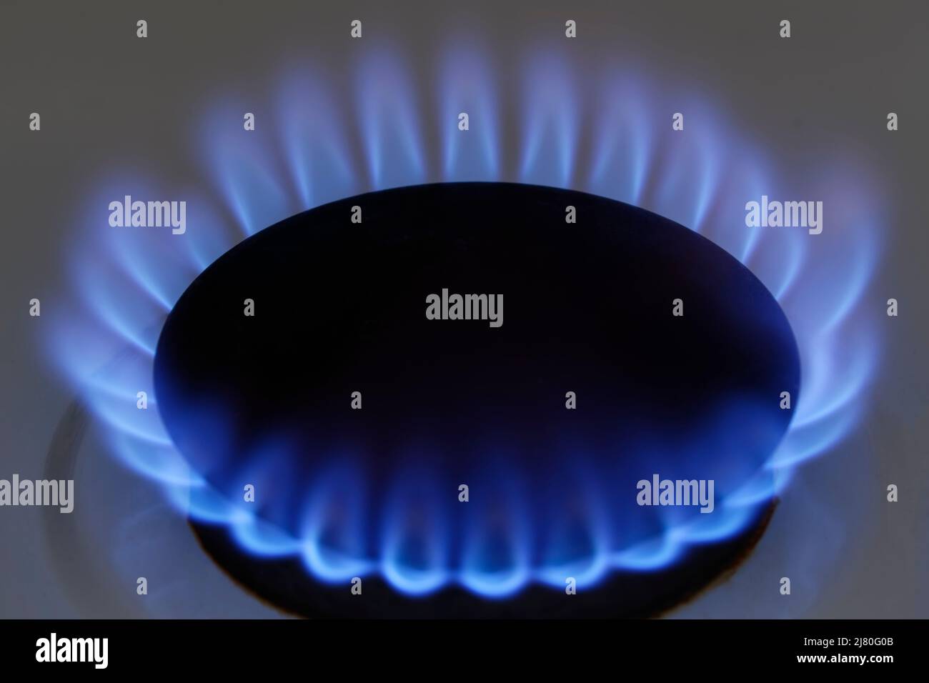 Home gas burner flame Stock Photo Alamy
