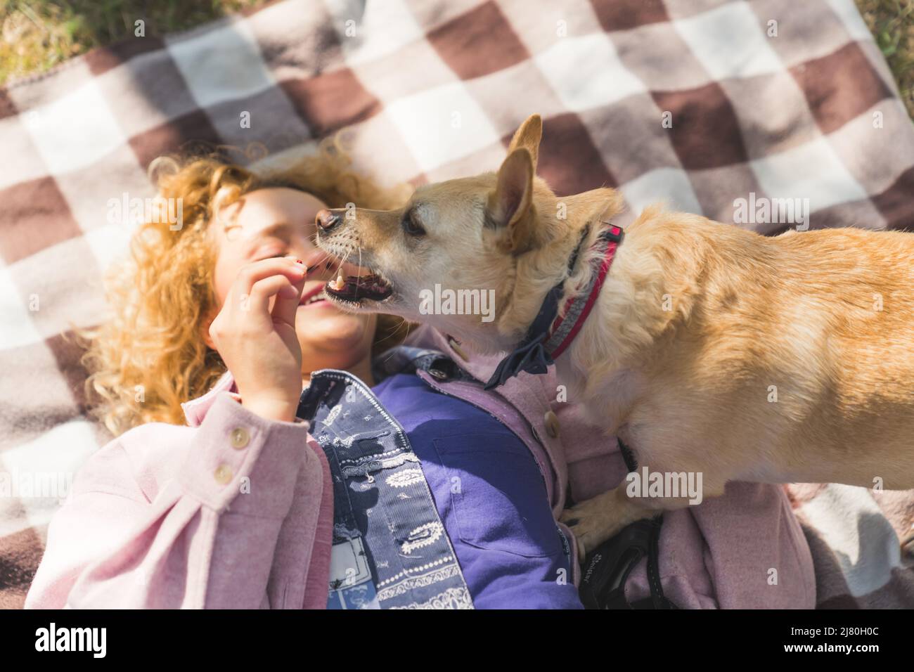 pretty blonde girl playing with her dog on the cover in the park medium ...
