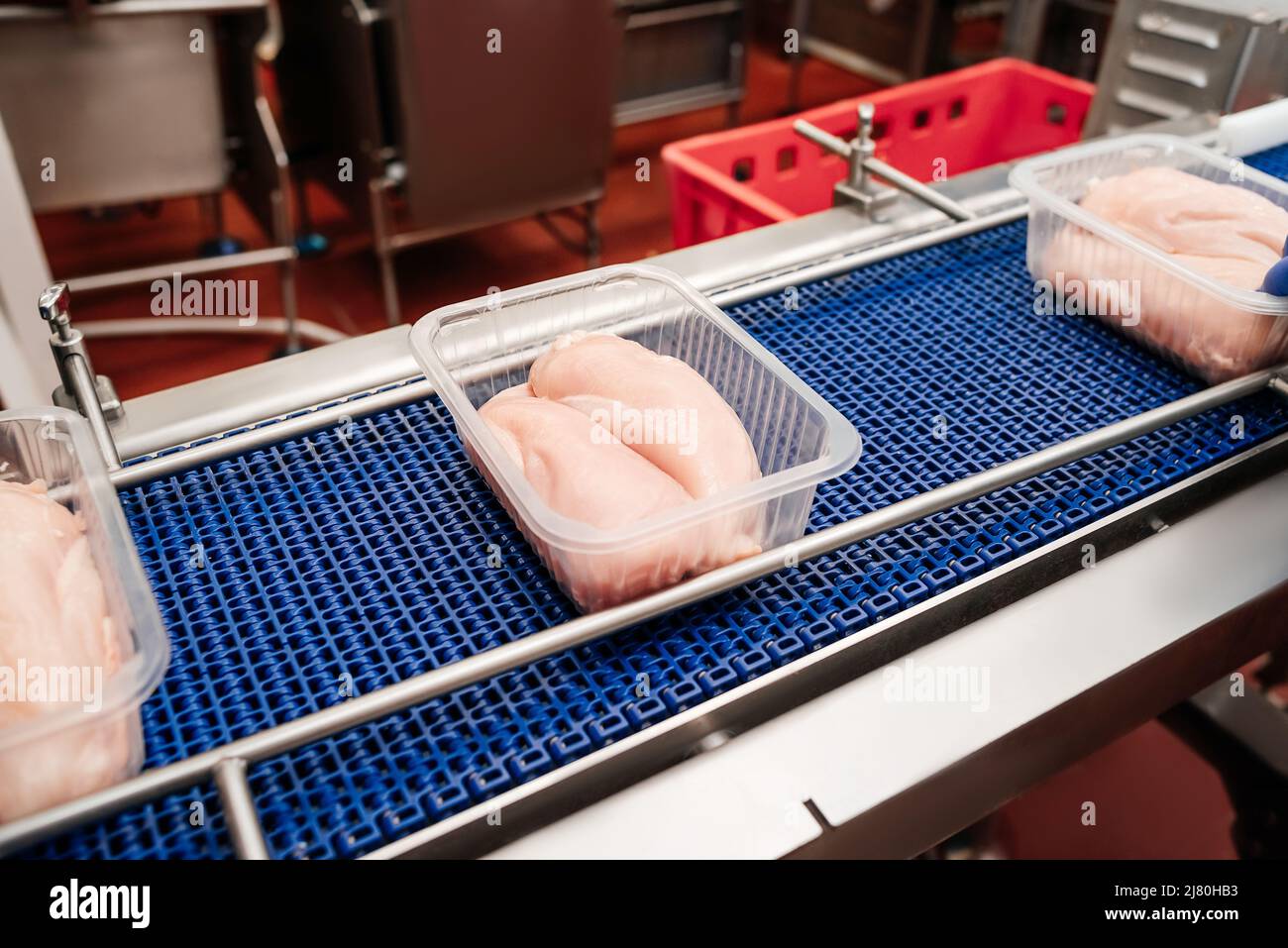 A modern plant.Factory production food from meat. Production line with