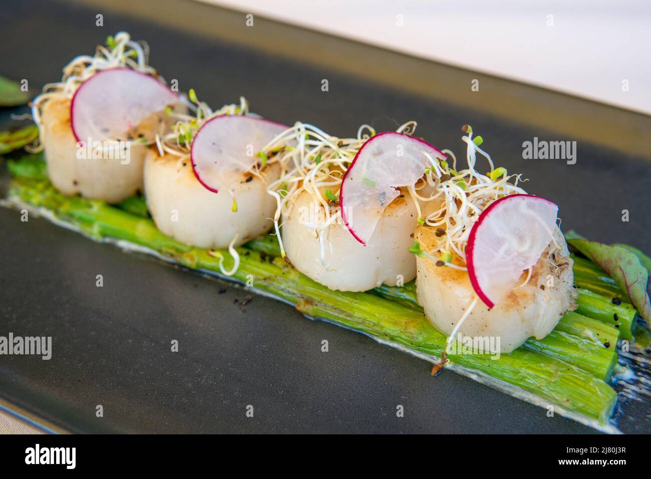 Salmon Scallop with asparagine grill Stock Photo Alamy