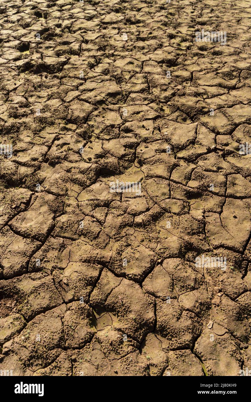 Dry and cracked soil resulting from extreme drought Stock Photo - Alamy