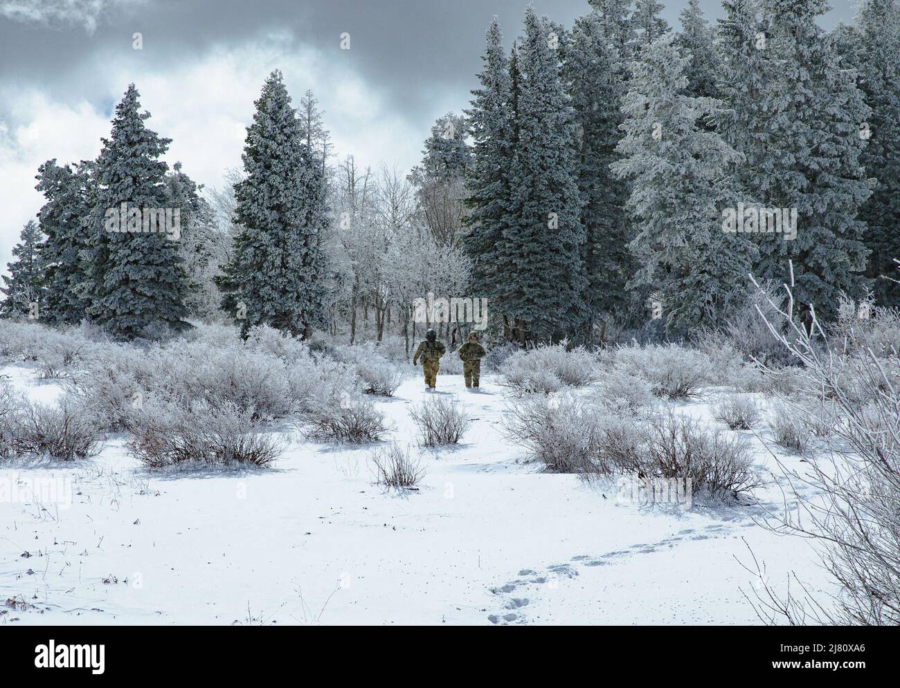 County sheriffs hi-res stock photography and images - Page 4 - Alamy