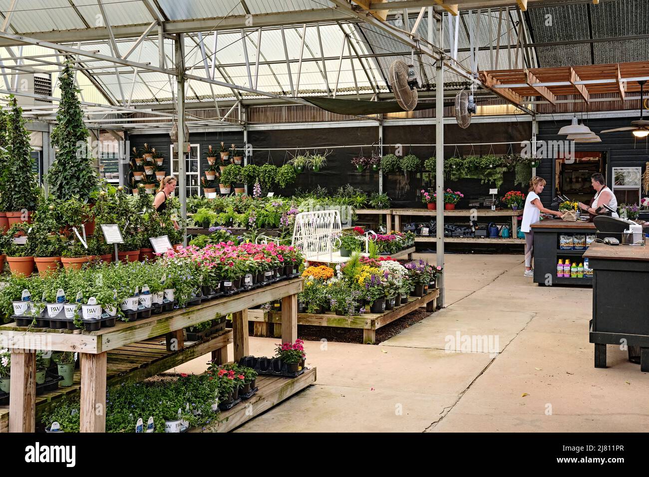 Woman shopping and woman buying at a plant nursery or garden center in Birmingham Alabama, USA. Stock Photo