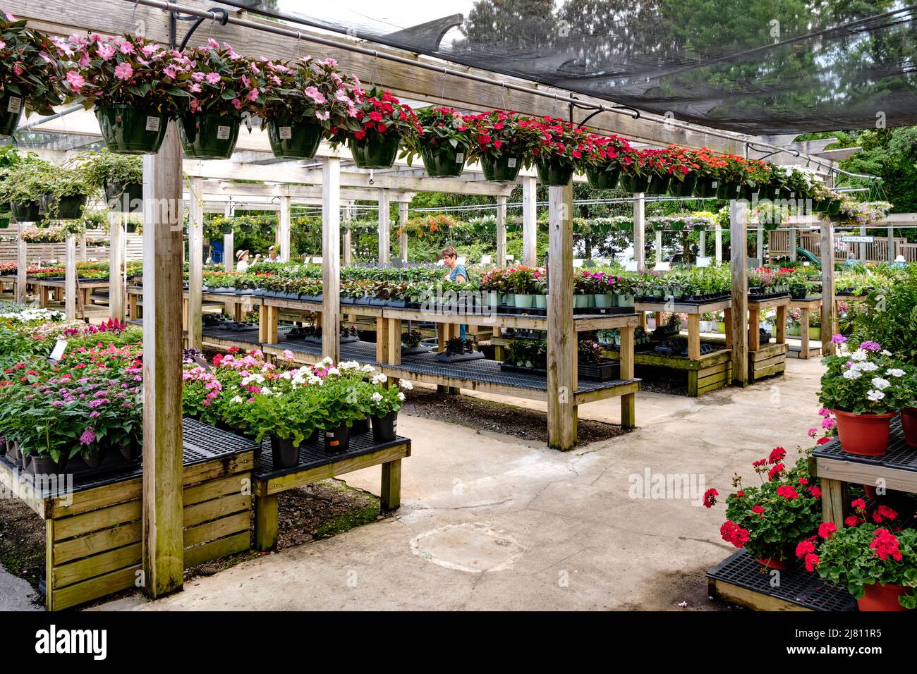 Nursery plant hires stock photography and images Alamy