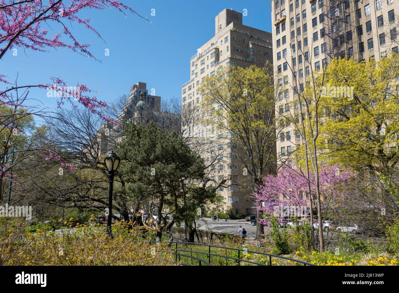 Residential buildings on Central Park West (CPW) can be seen from inside the park, New York City, USA  2022 Stock Photo