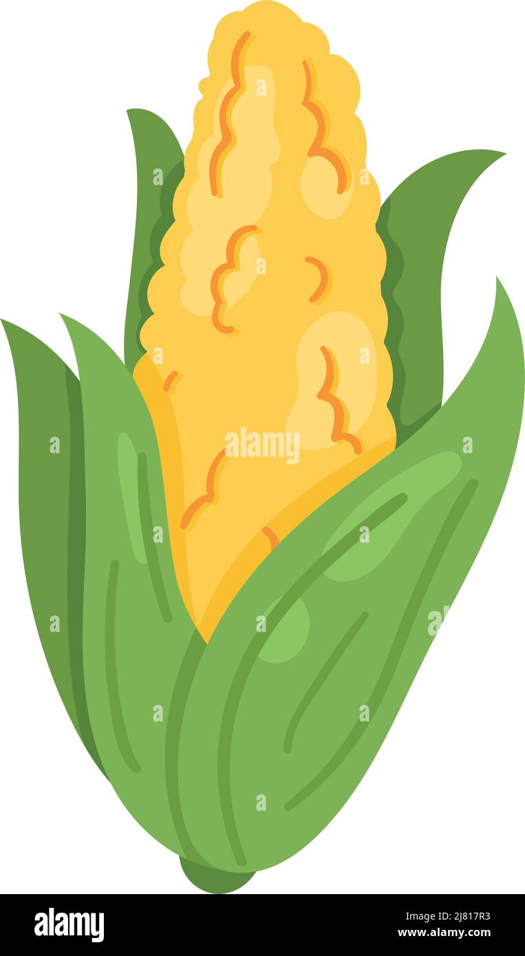corn cob vegetable healthy icon Stock Vector Image & Art - Alamy